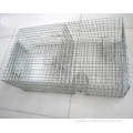 Live Bird Trap Repeating Sparrow Control Trap Wire Cage Manufactory